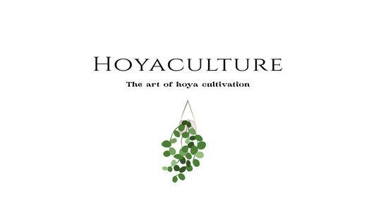 Hoya Resources